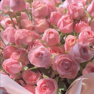 Meet your Posher, Kayleigh